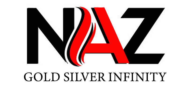 NAZ GSI Logo